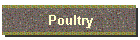 Poultry