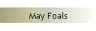 May Foals