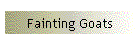 Fainting Goats