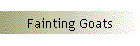 Fainting Goats