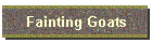 Fainting Goats