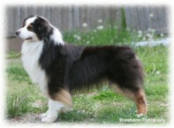 Kaleidoscope Curtain Call