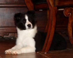 Bayshore' s Avatar Afternoon Delite