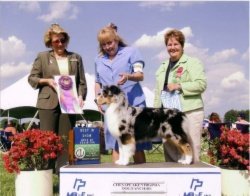 Ch. Twilights Elegance of Bayshore