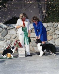 Ch. Bayshore Victoria Secret