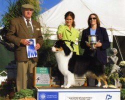 Ch. Shadowfox Bayshore Spotlight