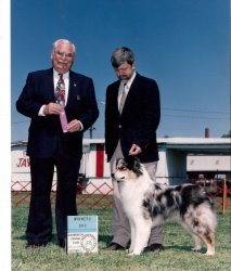 CKC, Am Bayshore's Run For The Border