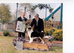 Ch. Bayshore On The Catwalk