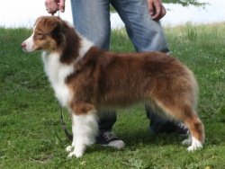 Bayshore's Coco Channel