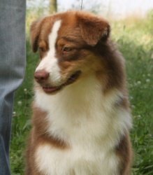 Bayshore's Coco Channel