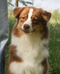 Bayshore's Coco Channel