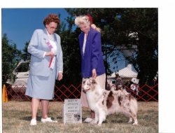 Ch Bayshore's Funnel Cake