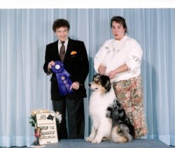 CKC, Am Bayshore's Run For The Border