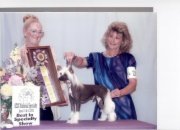 2002 BOB ACCC Specialty National