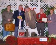 BISS Ch. Bayshore N'RV Our Miss Brooks winning Best of Breed at the National
