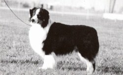 Multi Ch. Bayshore Three To Get Ready CD STD DS