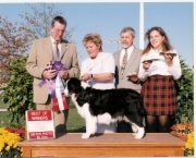 winners bitch, Best Of Winners BCSA National Specialty