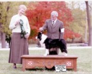 2006 BCSA National Specialty Vertern Bitch, AOM