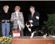 BCSA National Specialty Best In Sweeps