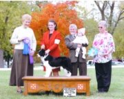 2006 BCSA National Specialty Winners Bitch, Best Of Winners