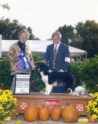 2002 BCSA  National Specialty Best Of Winners, Winners Bitch