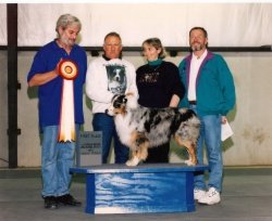 Ch Bayshore's Ready To Rock