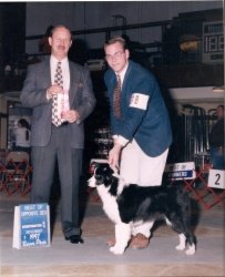 Ch. Trumagik Toucho Class