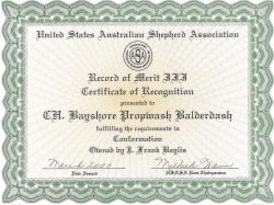 Ch. Bayshore Propwash Balderdash