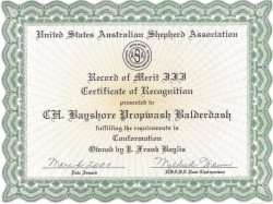 BIS/BISS Ch. Bayshore Flapjack