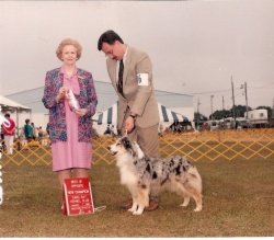 Ch Bayshore's Who's That Girl