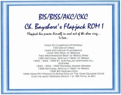BIS/BISS Ch. Bayshore Flapjack
