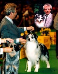 BIS/BISS Ch. Bayshore Flapjack