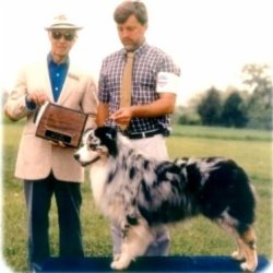 BIS/BISS Ch. Bayshore Flapjack