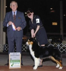 Ch Bayshore Violets Are Blue