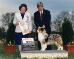 Ch. Bayshore Russian Roulette