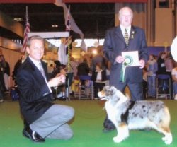 Best Of Breed Cruts Judge Mr Jeff Luscott