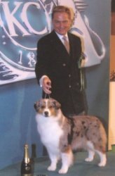 Pictured with her handler and co-
owner Leon Geotz
Crufts Group 1