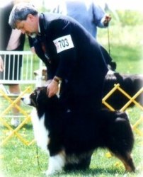 Ch. Bayshore Propwash Balderdash