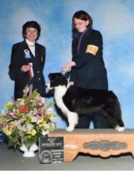 Ch. Avatar Papoose of Bayshore