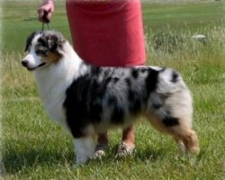 Bayshore Cat In The Hat