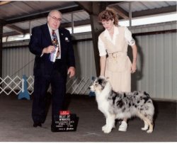 Ch Bayshore's Spice Cake