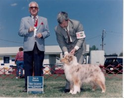 Ch Bayshore's Made In The USA