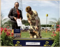 CH Watermark Bayshore Ms Moneypenny