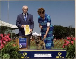 CH Watermark Bayshore Ms Moneypenny