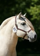 Bayshore Simen [White Dunn]