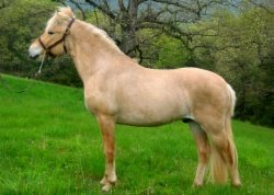 Bayshore Rodrek [Red Dunn]