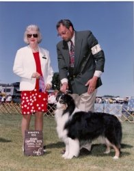 Ch Bayshore's lloyds Of London