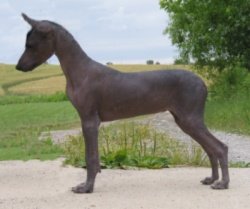 pictured at 16 weeks