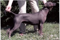 Besitos [Alevarez] Mex