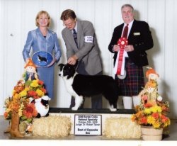 Ch. Avatar Papoose of Bayshore